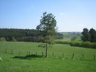 mooi panorama